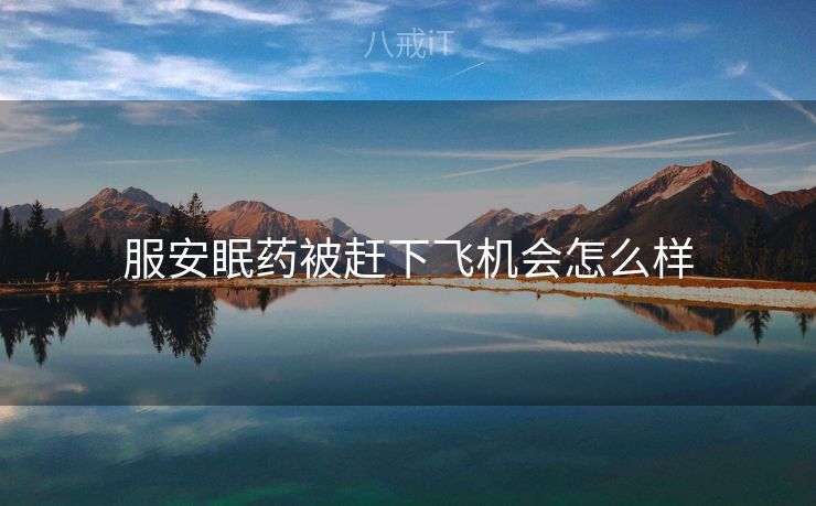 服安眠药被赶下飞机会怎么样