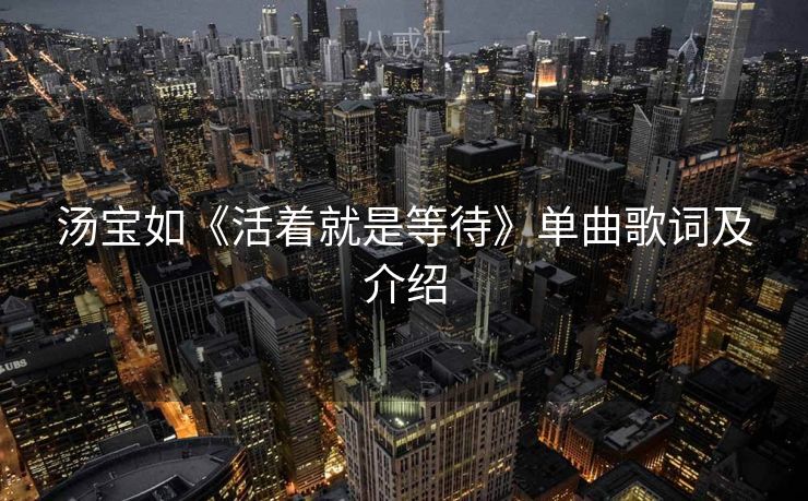 汤宝如《活着就是等待》单曲歌词及介绍