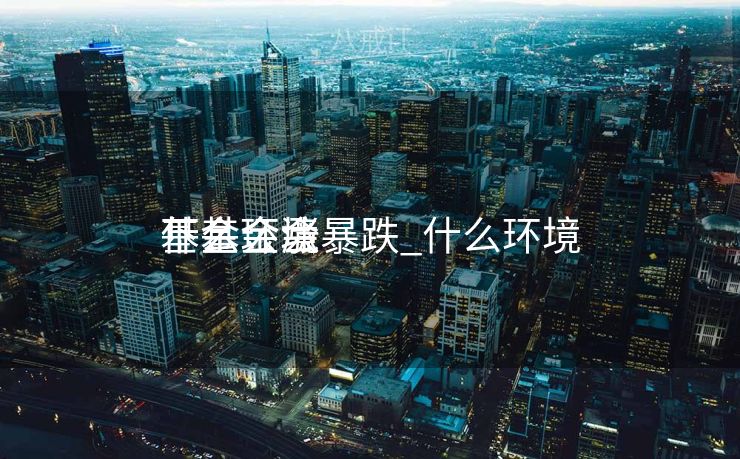 什么环境
下基金会暴跌_什么环境
基金会涨