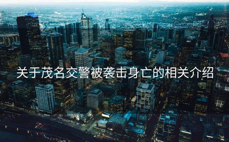 关于茂名交警被袭击身亡的相关介绍