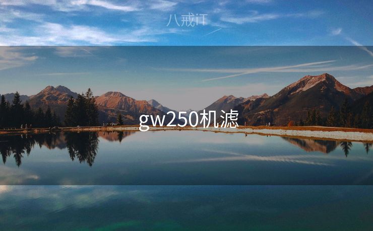 gw250机滤 gw250机滤