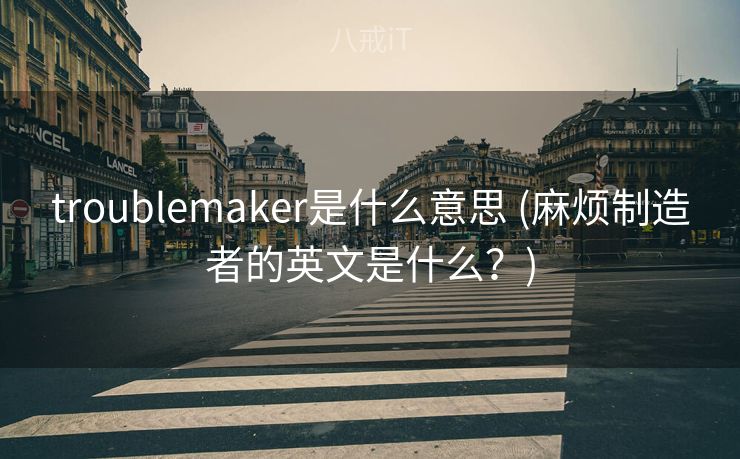 troublemaker是什么意思 (麻烦制造者的英文是什么？)