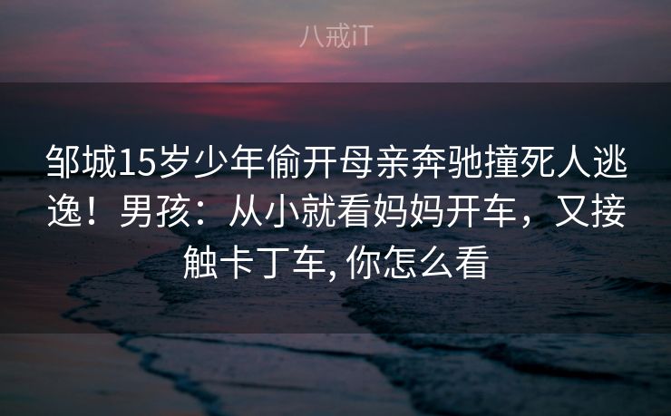 邹城15岁少年偷开母亲奔驰撞死人逃逸！男孩：从小就看妈妈开车，又接触卡丁车, 你怎么看
