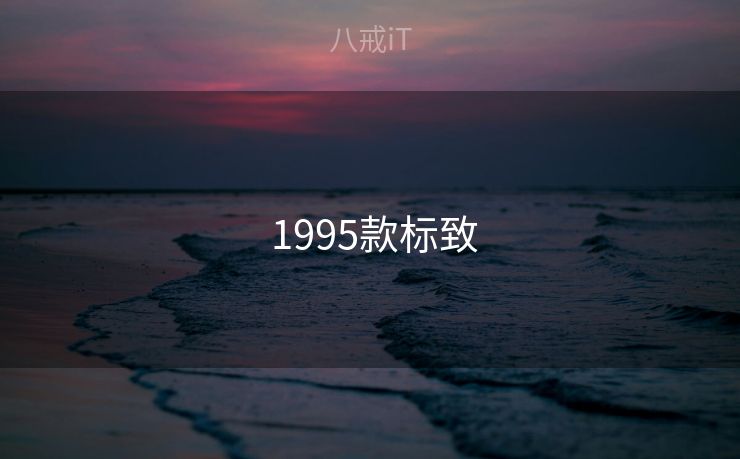  1995款标致