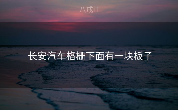  长安汽车格栅下面有一块板子