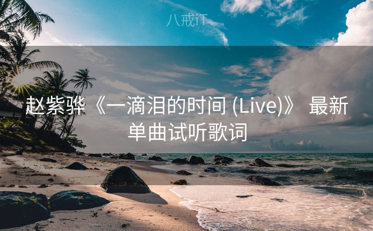 赵紫骅《一滴泪的时间 (Live)》 最新单曲试听歌词 赵紫骅《一滴泪的时间 (Live)》 最新单曲试听歌词