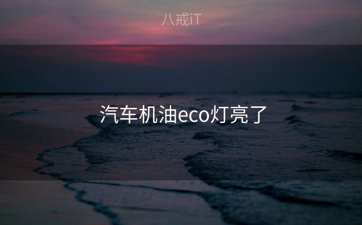  汽车机油eco灯亮了