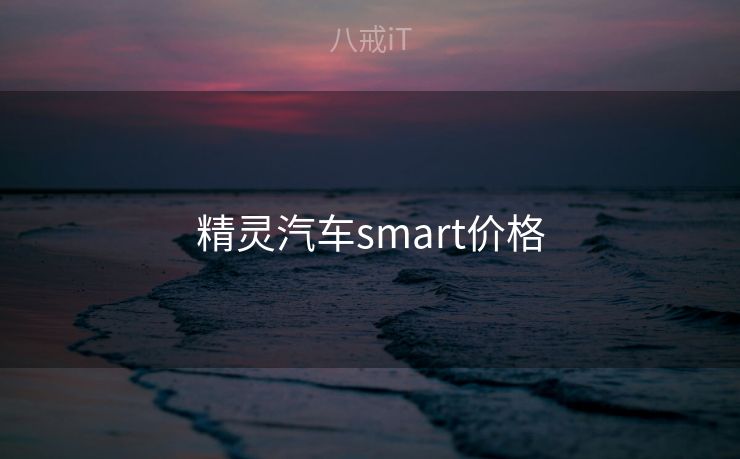 精灵汽车smart价格