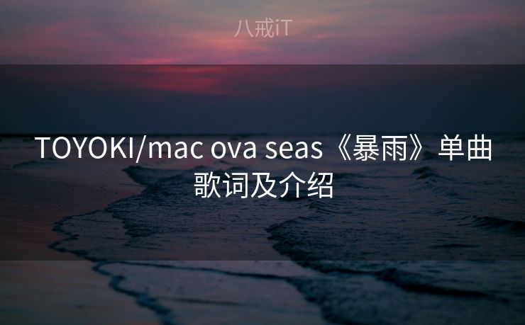 TOYOKI/mac ova seas《暴雨》单曲歌词及介绍 TOYOKI/mac ova seas《暴雨》单曲歌词及介绍