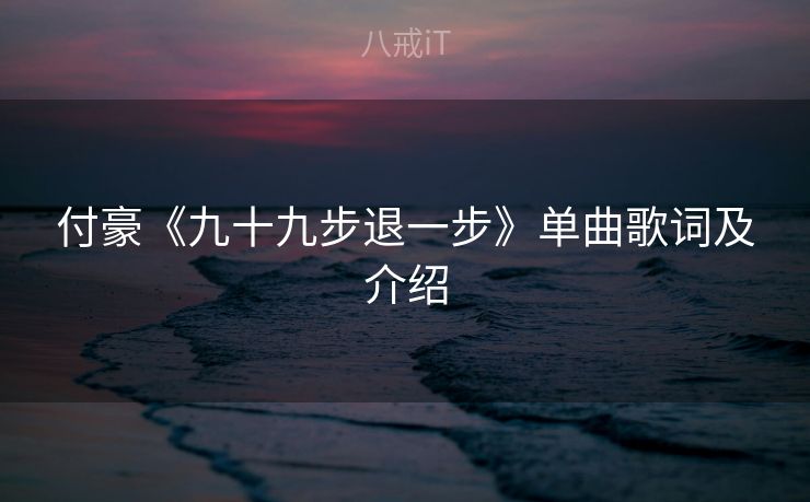 付豪《九十九步退一步》单曲歌词及介绍