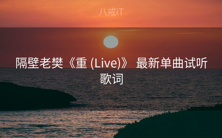 隔壁老樊《重 (Live)》 最新单曲试听歌词