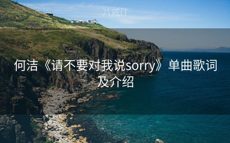 何洁《请不要对我说sorry》单曲歌词及介绍 何洁《请不要对我说sorry》单曲歌词及介绍