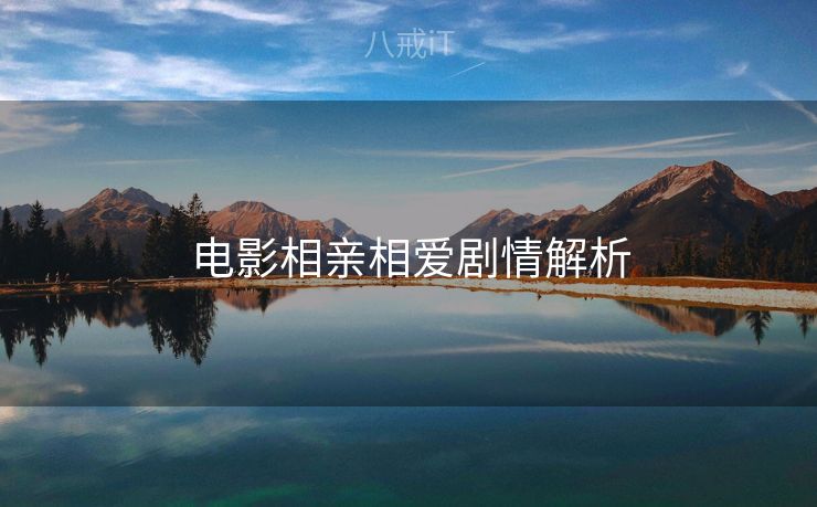 电影相亲相爱剧情解析