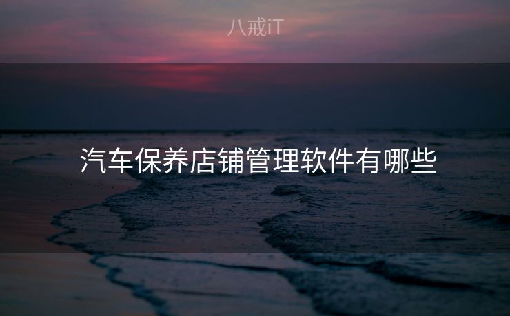  汽车保养店铺管理软件有哪些