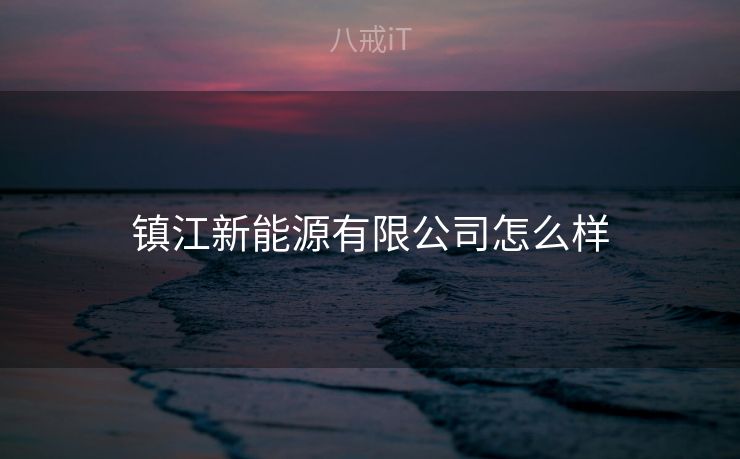 镇江新能源有限公司怎么样