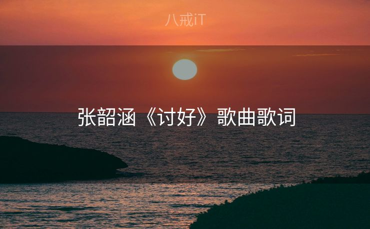 张韶涵《讨好》歌曲歌词