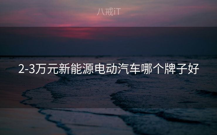 2-3万元新能源电动汽车哪个牌子好