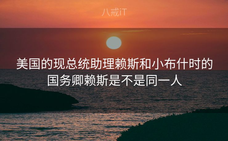 美国的现总统助理赖斯和小布什时的国务卿赖斯是不是同一人