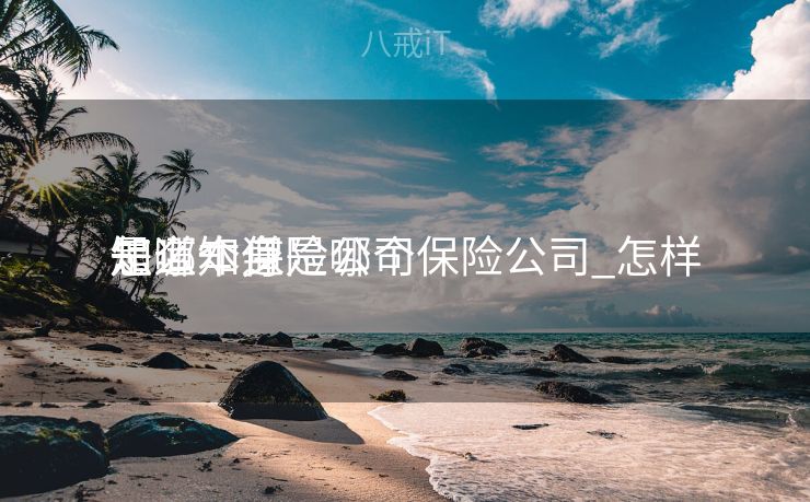 怎么知道是哪个保险公司_怎样
知道本身
是哪个保险公司