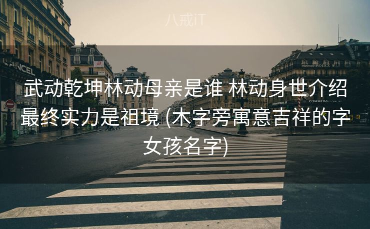 武动乾坤林动母亲是谁 林动身世介绍最终实力是祖境 (木字旁寓意吉祥的字女孩名字)
