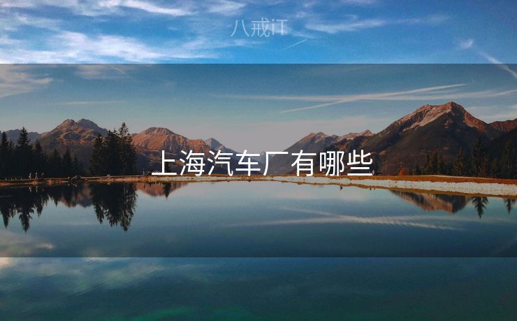  上海汽车厂有哪些