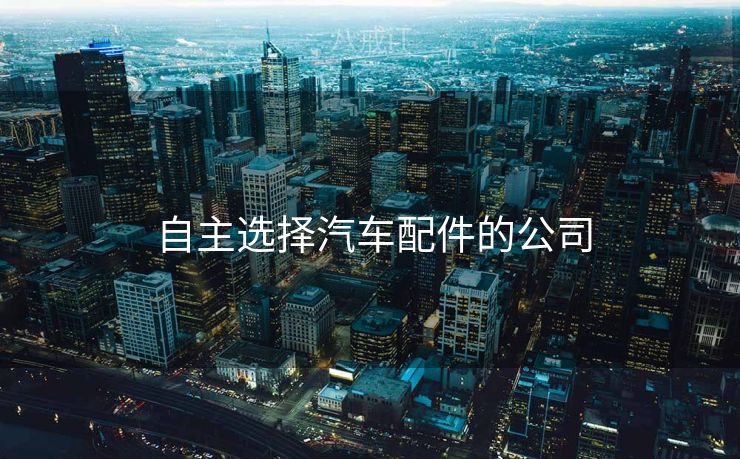 自主选择汽车配件的公司 自主选择汽车配件的公司