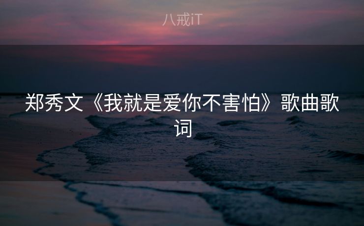 郑秀文《我就是爱你不害怕》歌曲歌词 郑秀文《我就是爱你不害怕》歌曲歌词