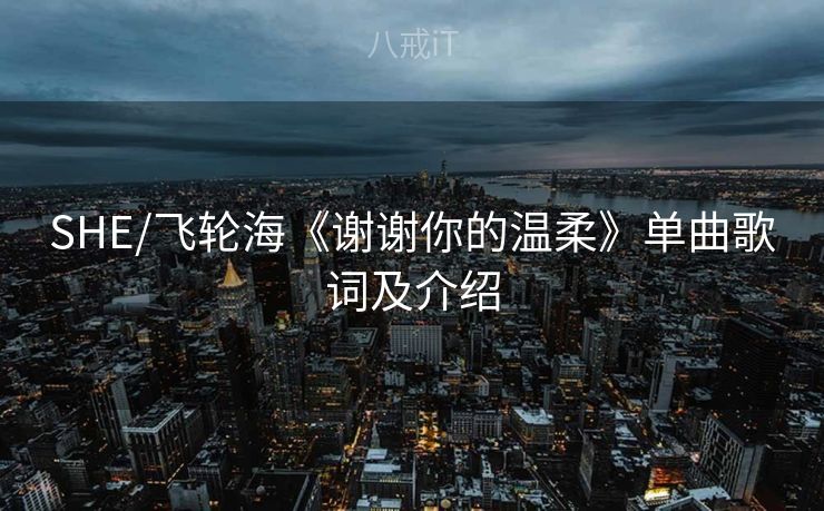 SHE/飞轮海《谢谢你的温柔》单曲歌词及介绍