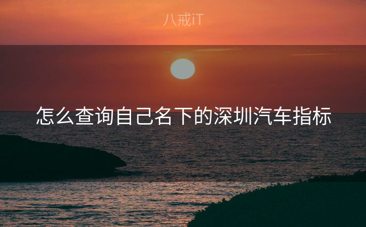 怎么查询自己名下的深圳汽车指标