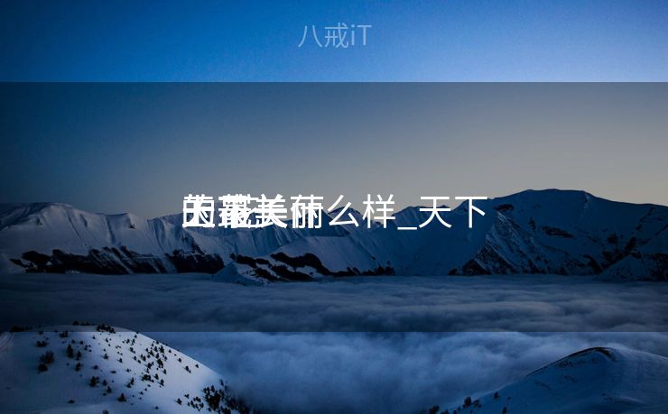 天下
上最美丽
的花长什么样_天下
上最美丽
的 花