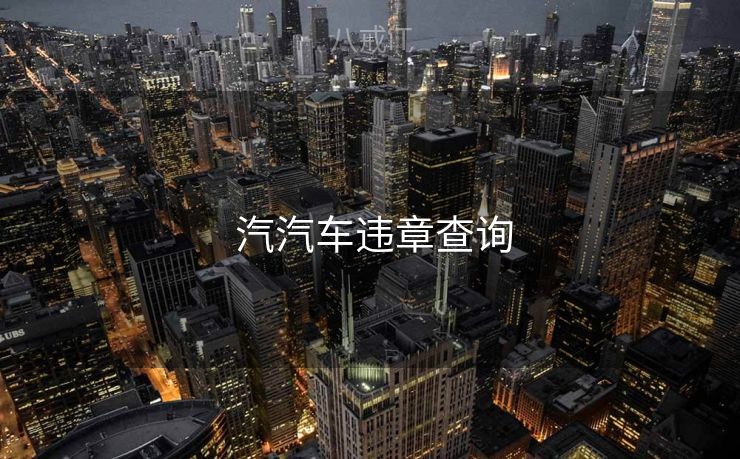  汽汽车违章查询