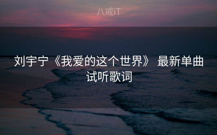 刘宇宁《我爱的这个世界》 最新单曲试听歌词