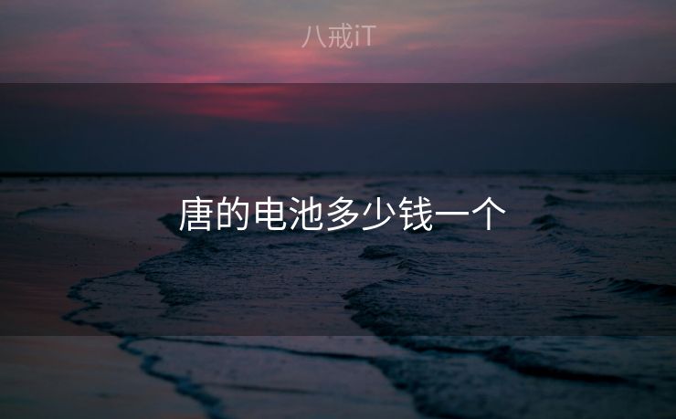 唐的电池多少钱一个 唐的电池多少钱一个