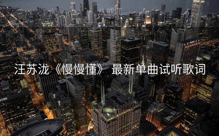 汪苏泷《慢慢懂》 最新单曲试听歌词