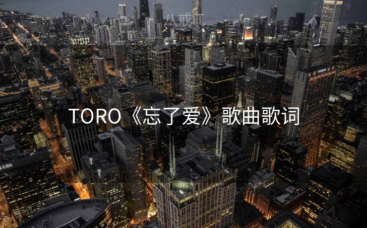 TORO《忘了爱》歌曲歌词 TORO《忘了爱》歌曲歌词