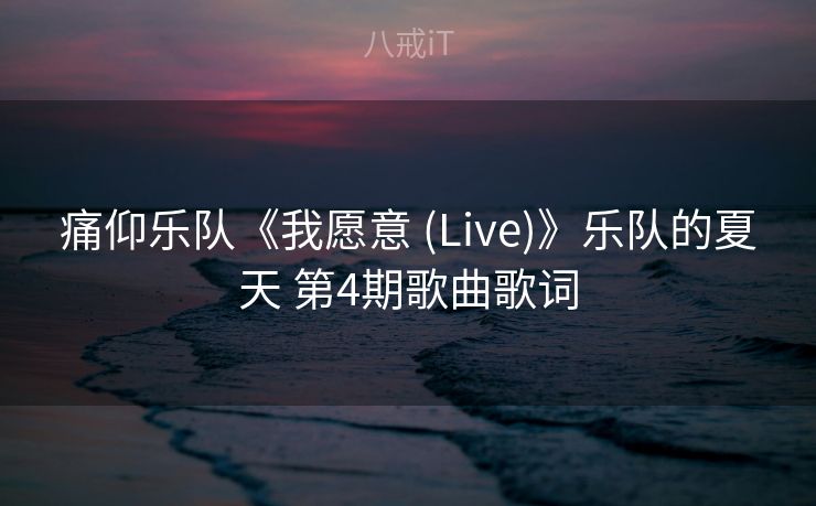 痛仰乐队《我愿意 (Live)》乐队的夏天 第4期歌曲歌词