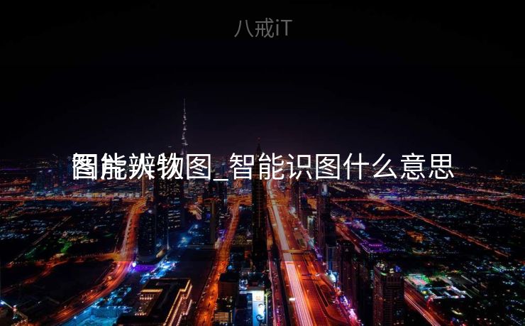 智能辨认
图片人物图_智能识图什么意思