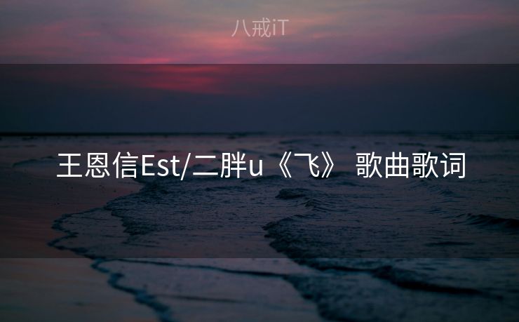 王恩信Est/二胖u《飞》 歌曲歌词