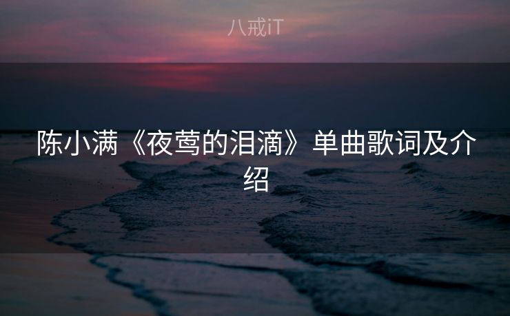 陈小满《夜莺的泪滴》单曲歌词及介绍