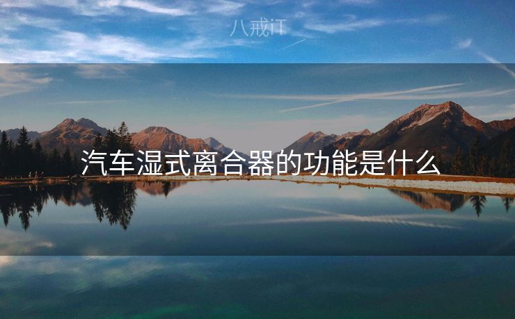  汽车湿式离合器的功能是什么