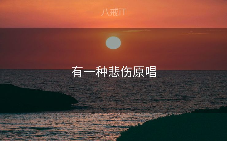 有一种悲伤原唱