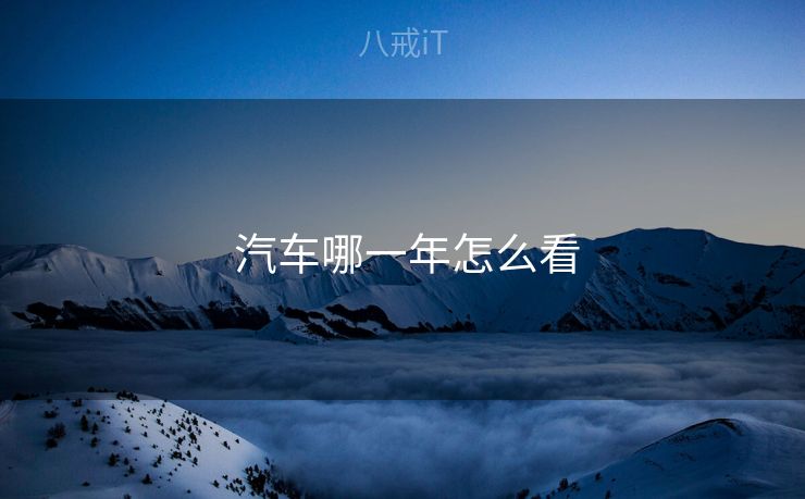 汽车哪一年怎么看