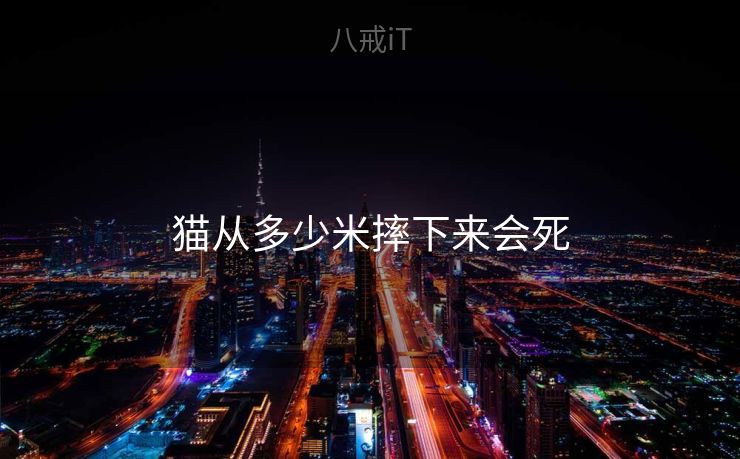 猫从多少米摔下来会死