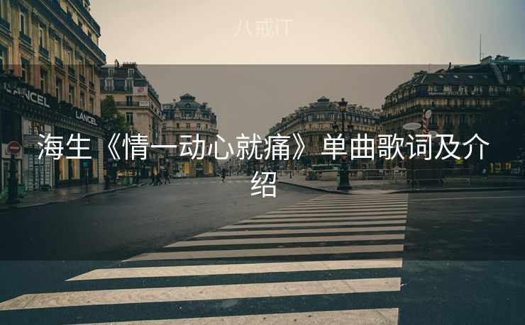 海生《情一动心就痛》单曲歌词及介绍 海生《情一动心就痛》单曲歌词及介绍