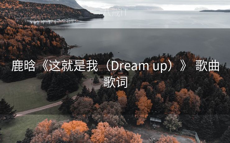 鹿晗《这就是我（Dream up）》 歌曲歌词