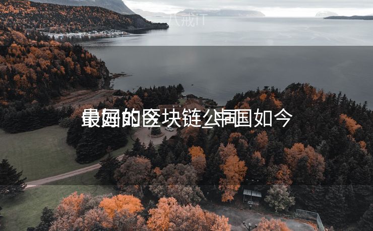 中国如今

最好的区块链_中国如今

最好的区块链公司