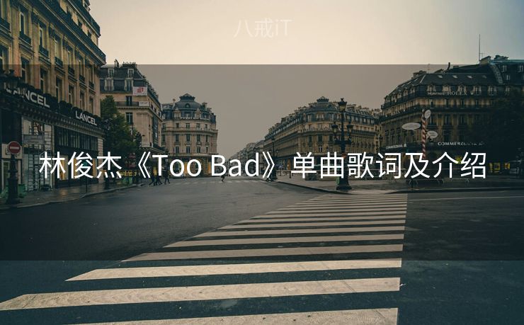 林俊杰《Too Bad》单曲歌词及介绍