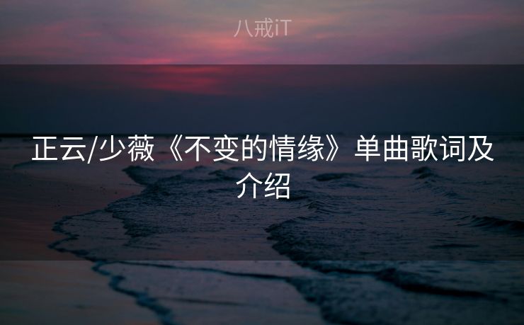 正云/少薇《不变的情缘》单曲歌词及介绍