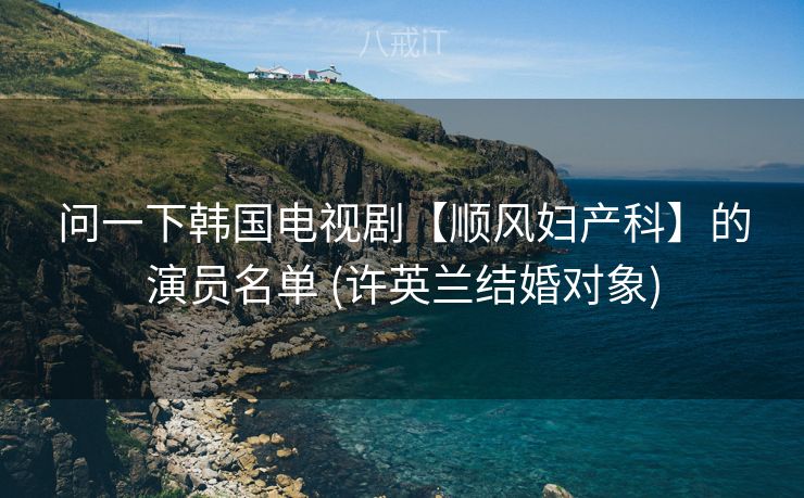 问一下韩国电视剧【顺风妇产科】的演员名单 (许英兰结婚对象)