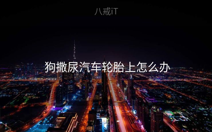  狗撒尿汽车轮胎上怎么办